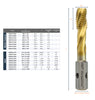 VersaDrive® Spiral Flute Taps - Metric Coarse (309010)